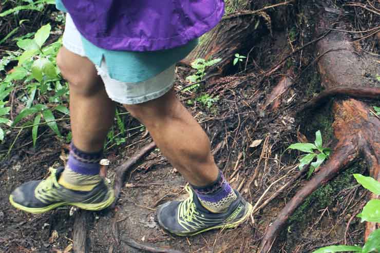 Cosmo Yakushima Hiking