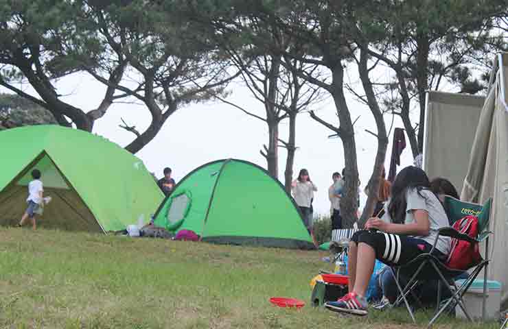 Kurio-Camping